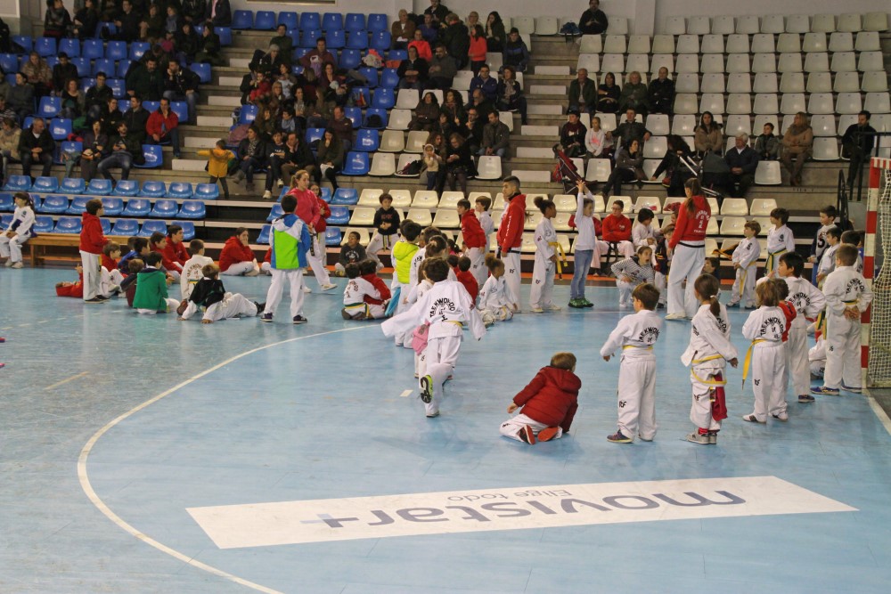 Taekwondo Dic 2016 (213).jpg